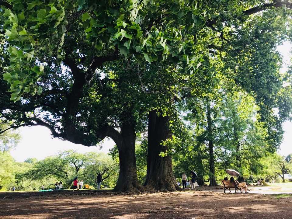 新宿御苑